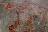 Polished Devil's Red Agate - TeePee Canyon, South Dakota #373398-1